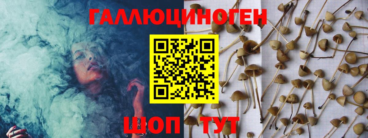 Галлюциногенные грибы GOLDEN TEACHER Калининград