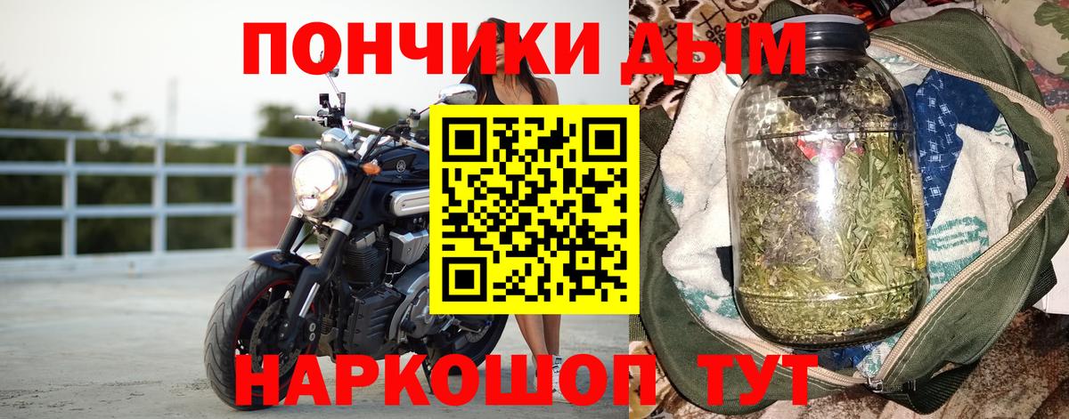 Бошки Шишки план Калининград